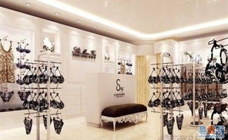 偉奧專業(yè)龍華內(nèi)衣店裝修設(shè)計 用心服務(wù)，打造專賣典范